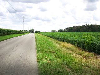Property photo 8 - OUTSTANDING LAND AUCTION - 170+/- ACRES IN 5 TRACTS IN WAYNE COUNTY, INDIANA